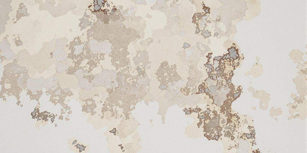 Close-up of mold on a water-damaged wall.