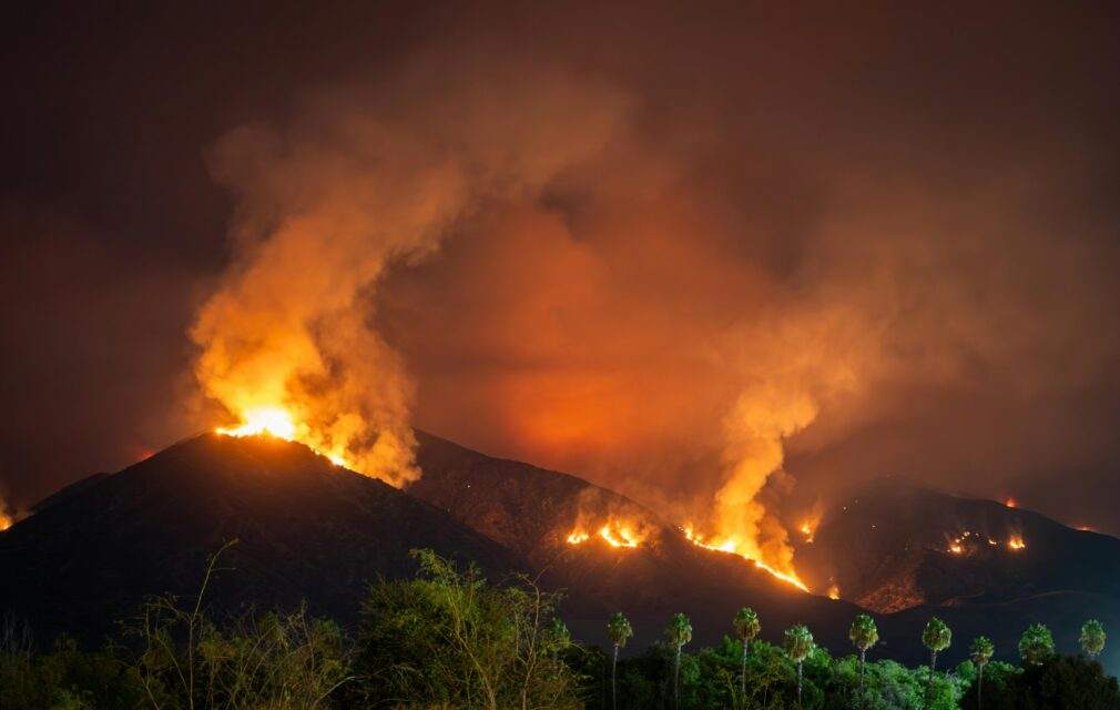 Intense wildfire scene at night in Redlands, CA with palm trees silhouetted.
