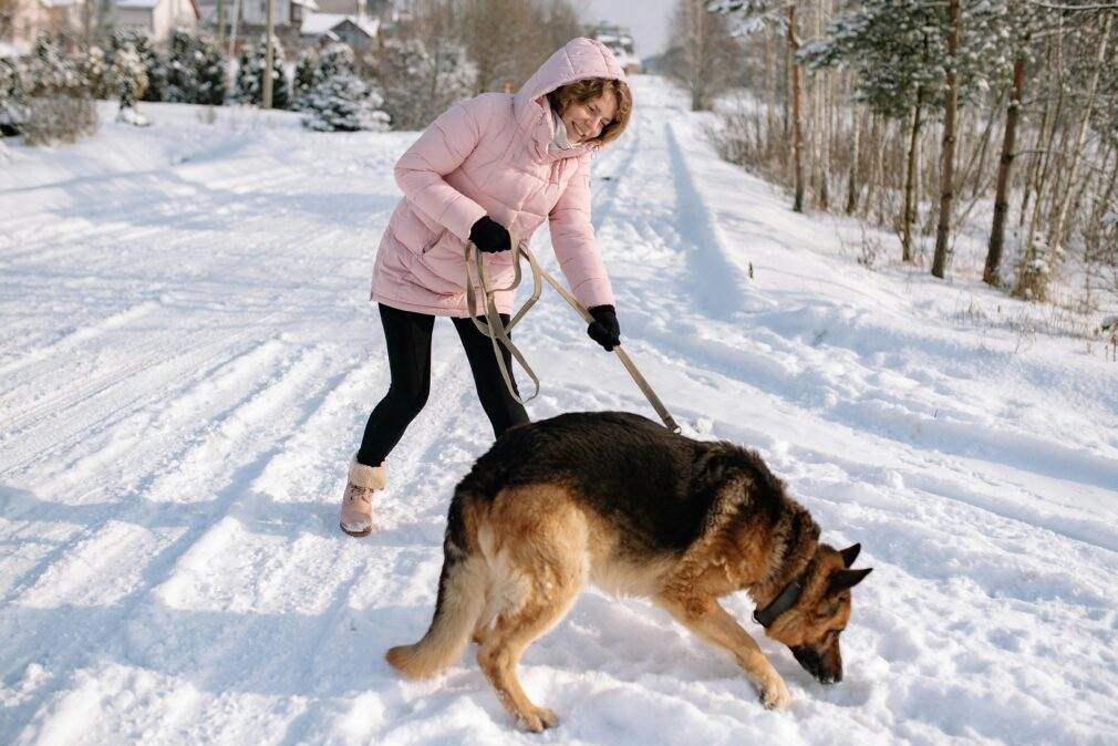 Smiling woman in pink jacket walks her German Shepherd on a snowy path during winter day.