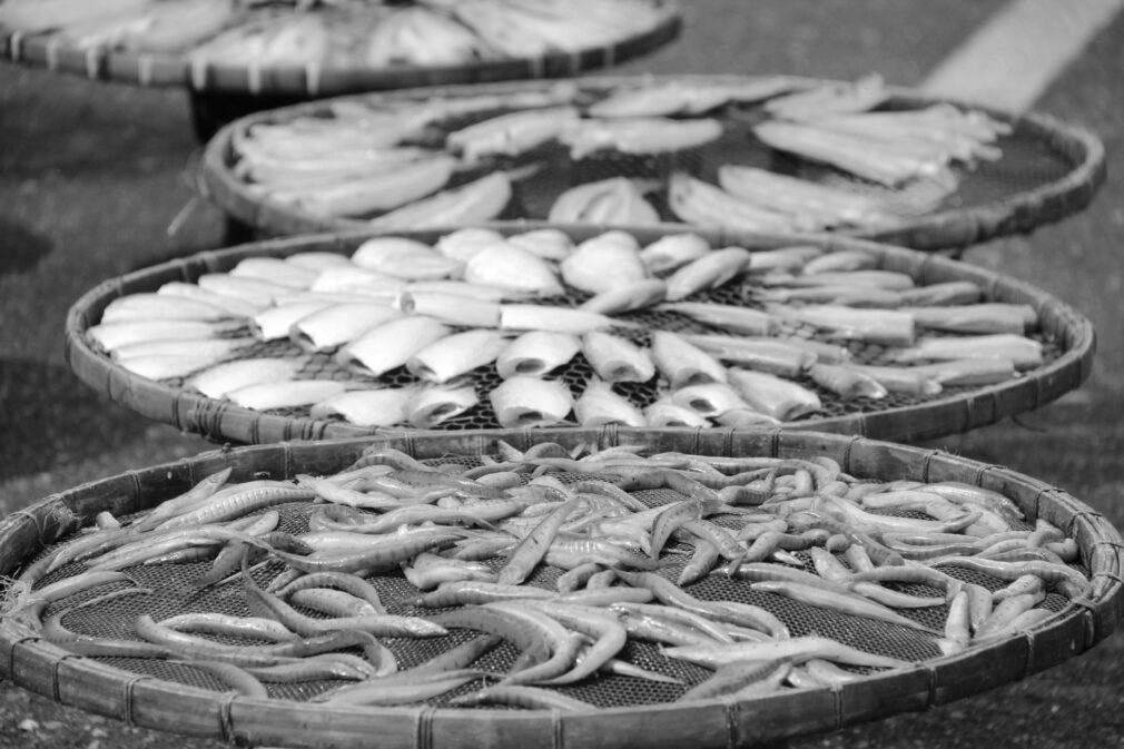 Artistic black and white photo of various fish drying in woven baskets outdoors.