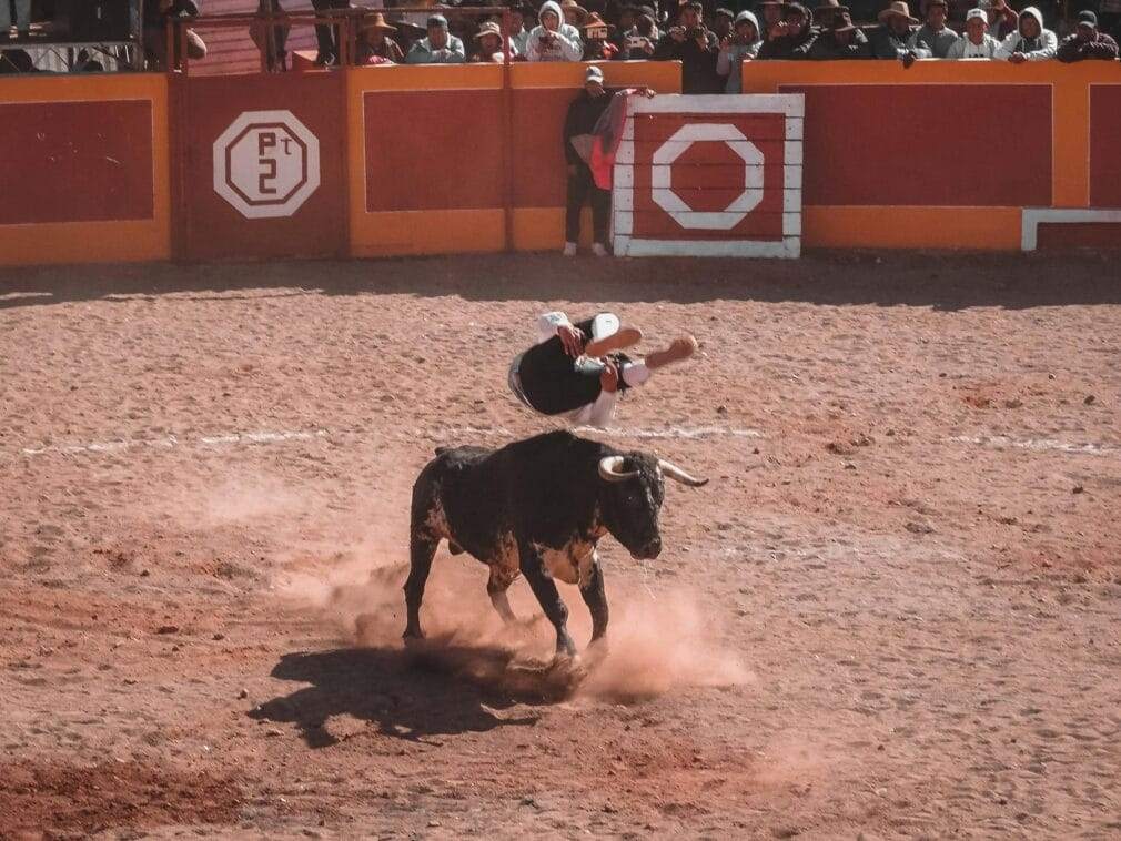A dramatic moment in a bullfighting arena with a performer in action, captured in Puno, Peru.