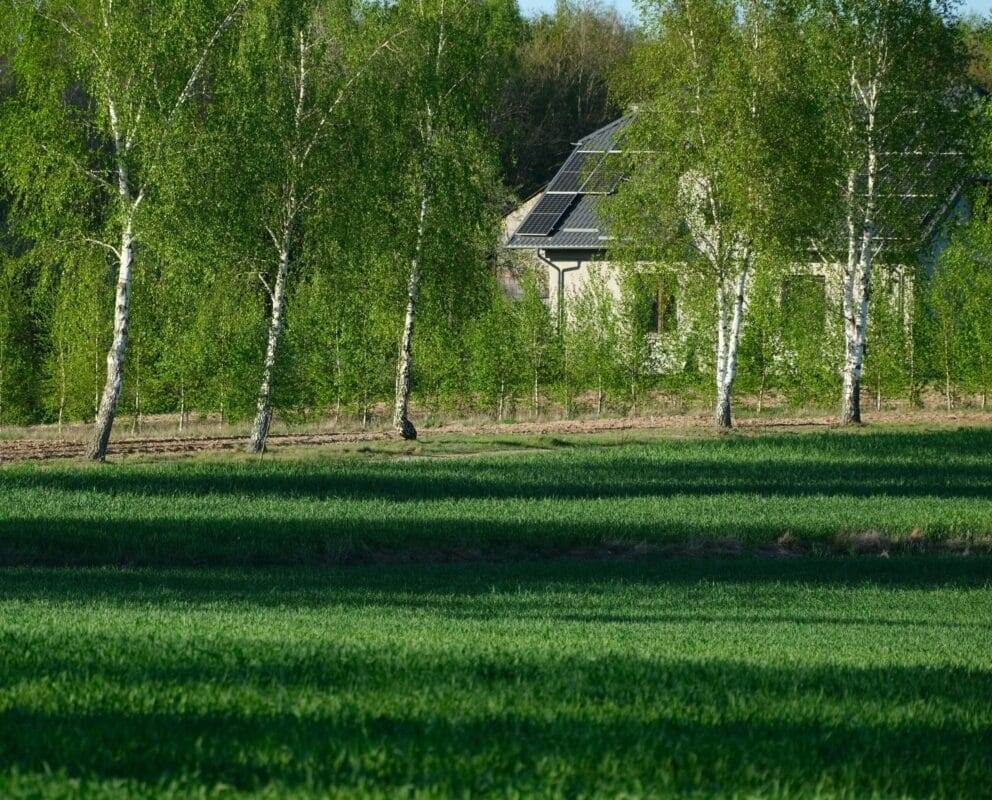 A sustainable home with solar panels surrounded by lush green trees and grass, symbolizing eco-friendly living.