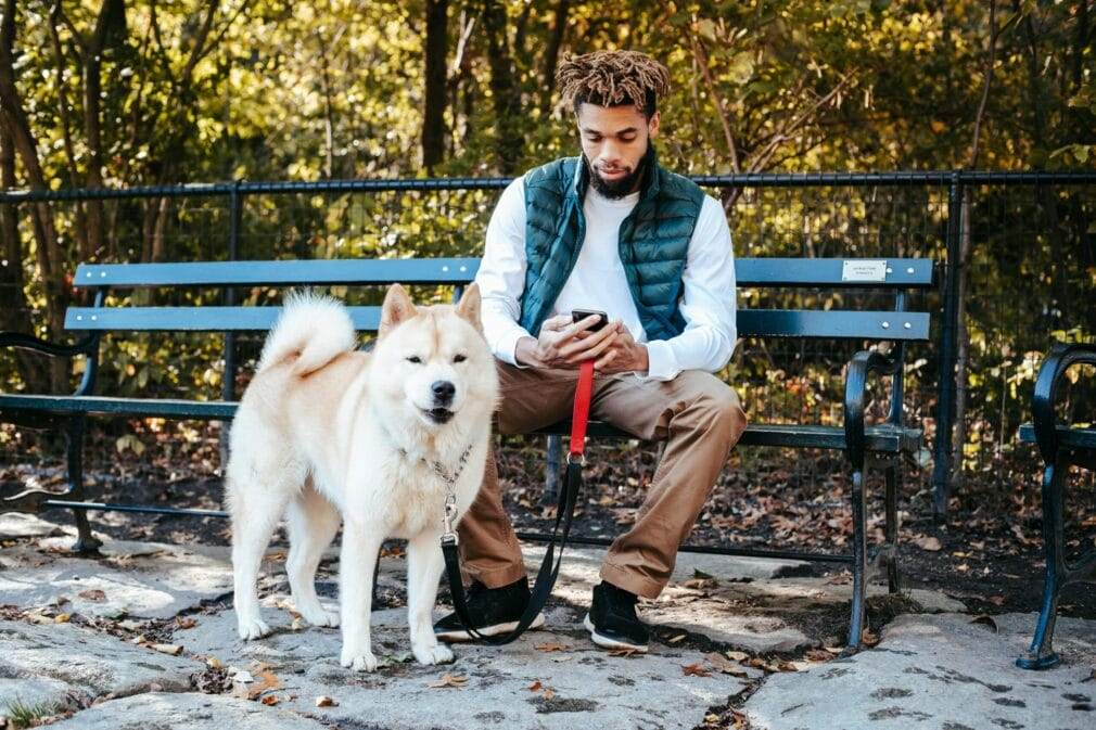 Man with dreadlocks using smartphone, sitting on bench with Akita Inu dog in a sunny park.